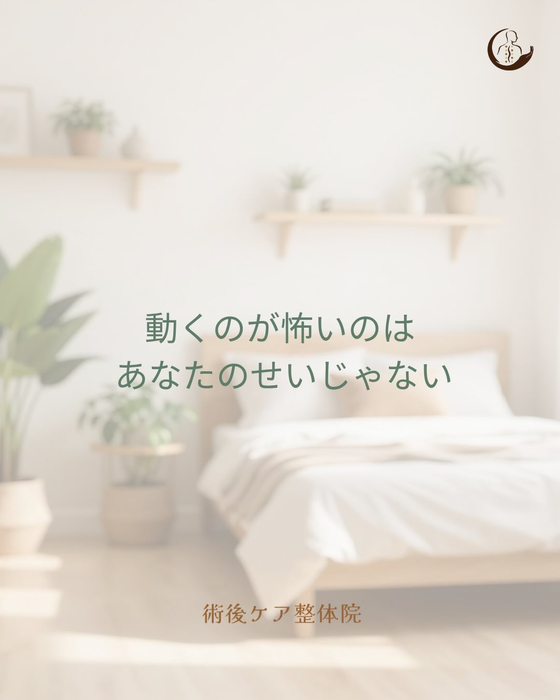 画像313
