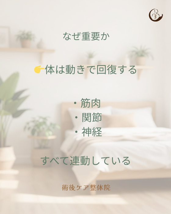 画像379