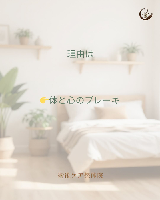 画像447