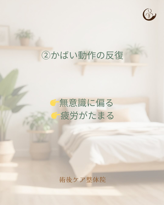 画像459