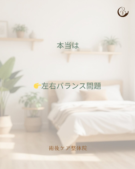 画像477