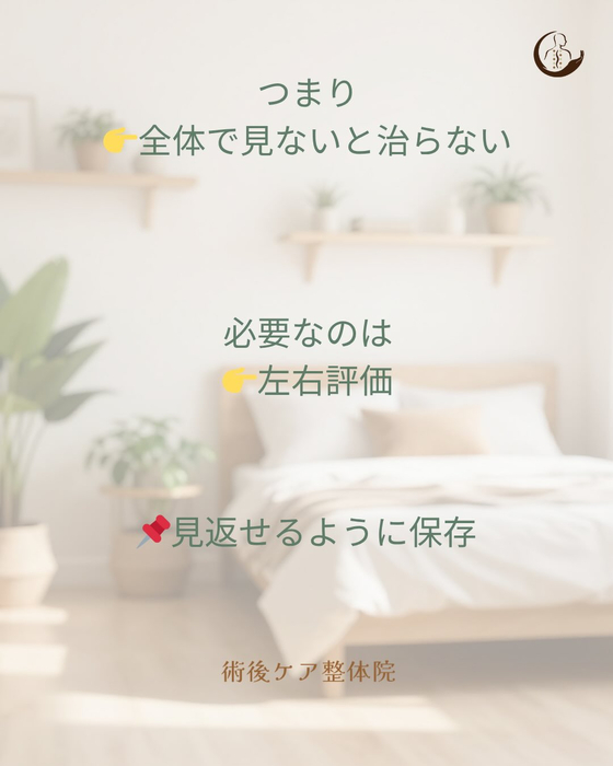 画像481