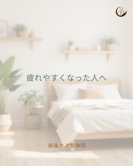 画像485