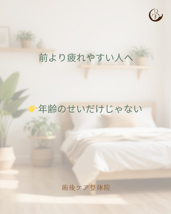 画像486