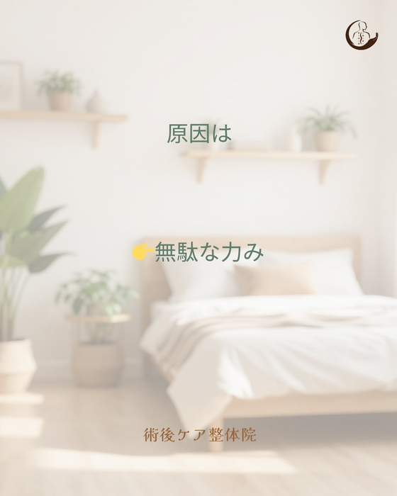 画像487