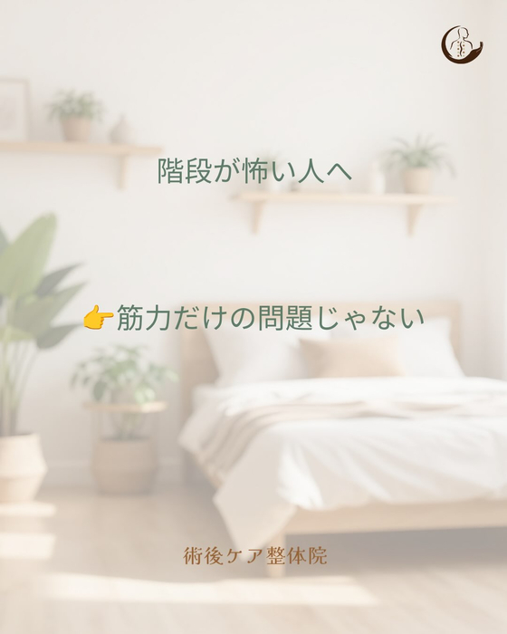 画像519