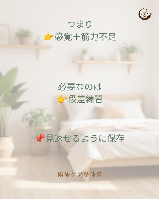 画像524