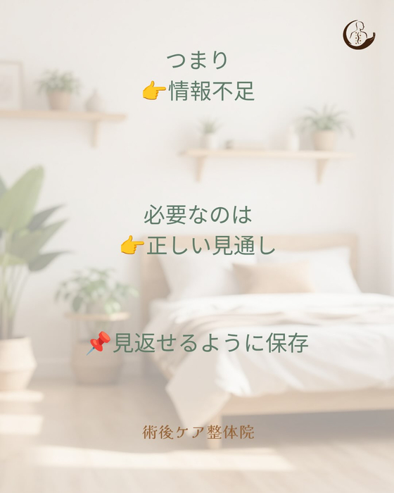 画像534